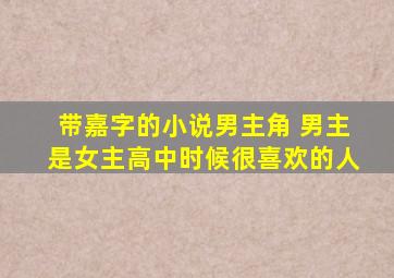 带嘉字的小说男主角 男主是女主高中时候很喜欢的人